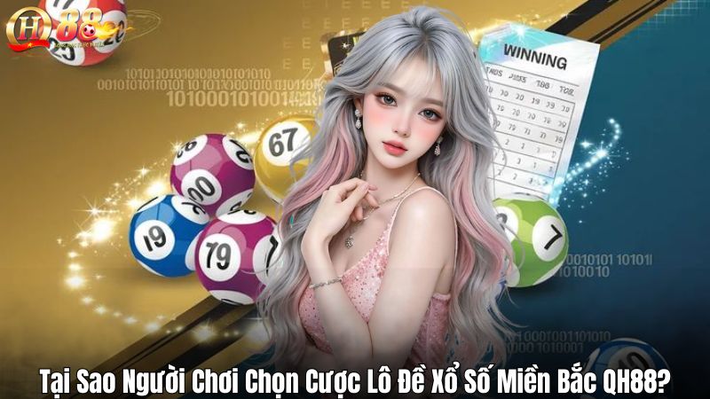 Tại Sao Người Chơi Chọn Cược Lô Đề Xổ Số Miền Bắc QH88?